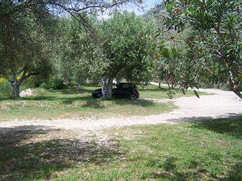 Plataria Beach Hotel Sivota  Bagian luar foto
